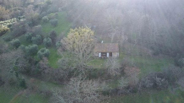 appartamento in vendita a Scansano