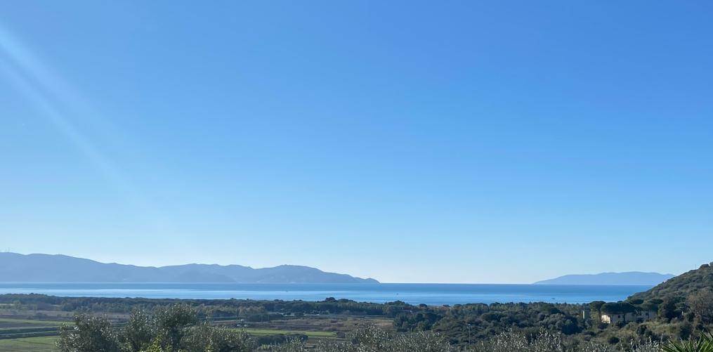 casa indipendente in vendita a Scansano