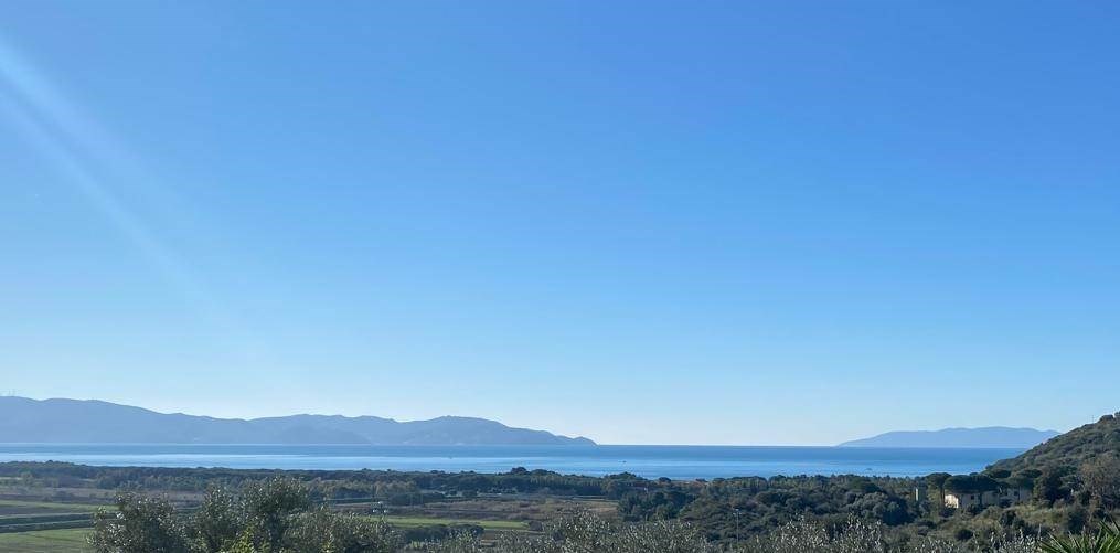 casa indipendente in vendita a Scansano