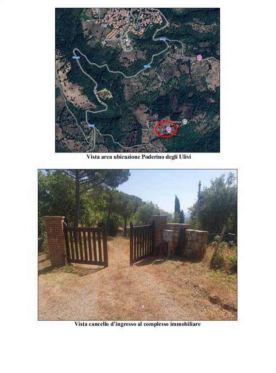 appartamento in vendita a Scansano