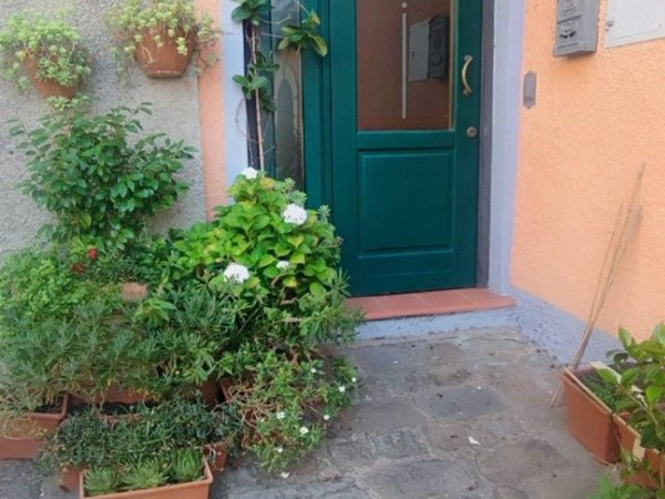 appartamento in vendita a Scansano