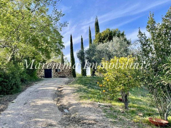 terreno agricolo in vendita a Scansano