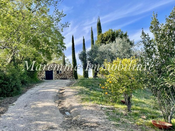 terreno agricolo in vendita a Scansano