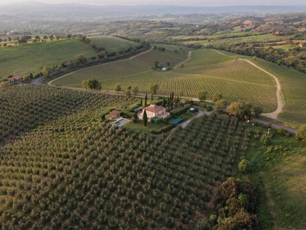casa indipendente in vendita a Scansano