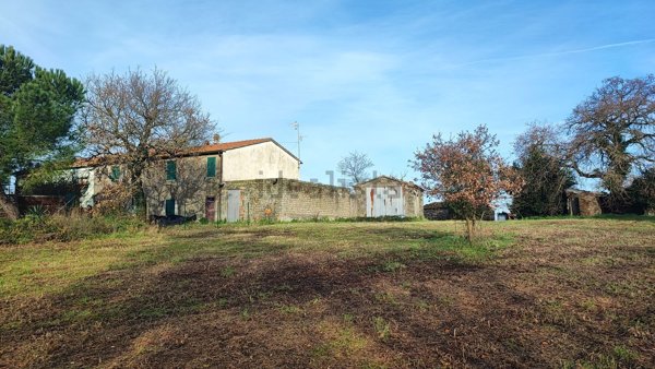 casa indipendente in vendita a Scansano in zona Pancole