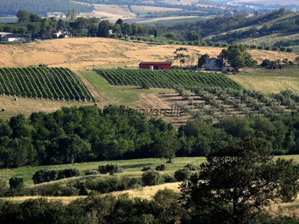 locale di sgombero in vendita a Scansano
