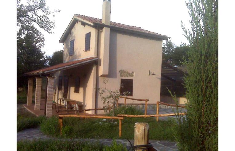 casa indipendente in vendita a Scansano in zona Poggioferro