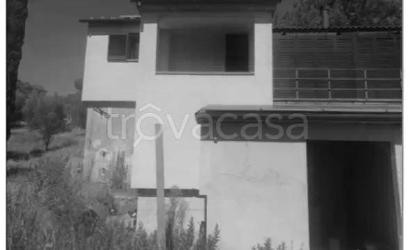 appartamento in vendita a Scansano