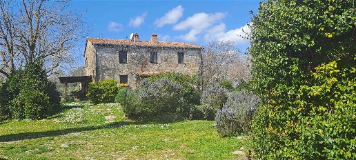 casale in vendita a Scansano in zona Murci