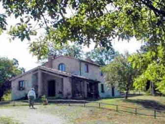 terreno agricolo in vendita a Scansano