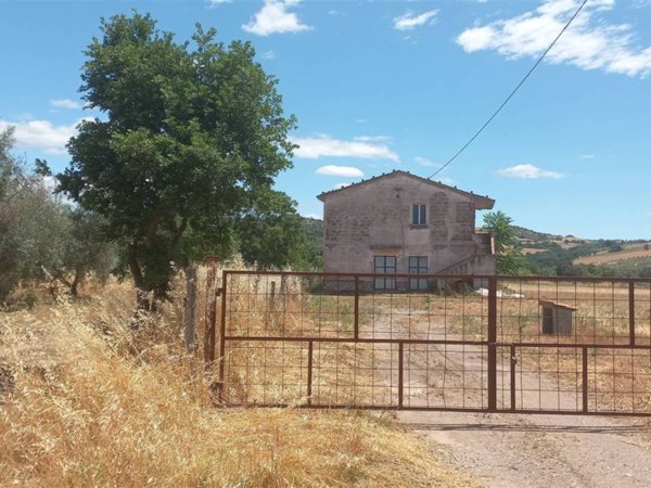 casa indipendente in vendita a Scansano