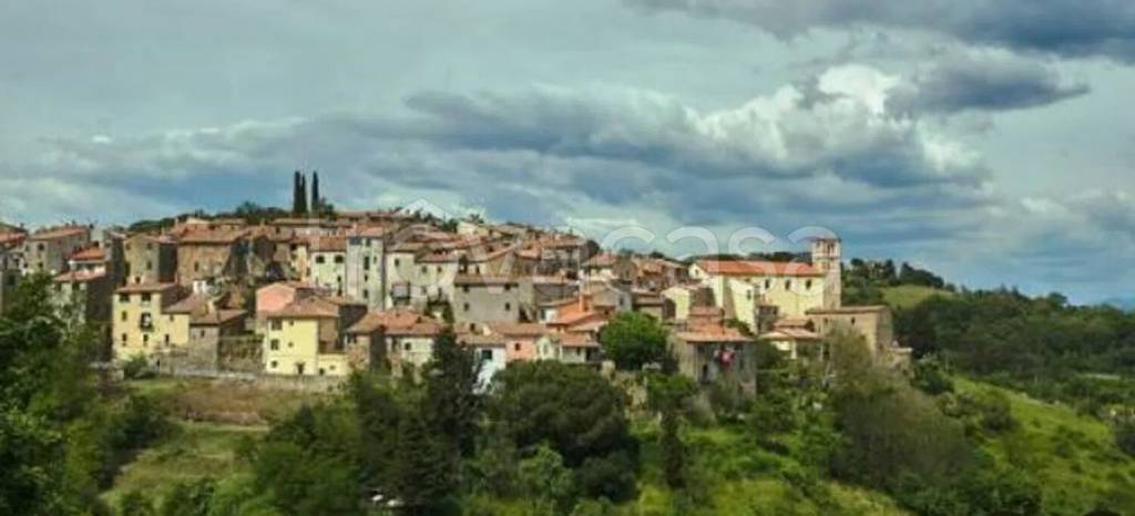 appartamento in vendita a Scansano