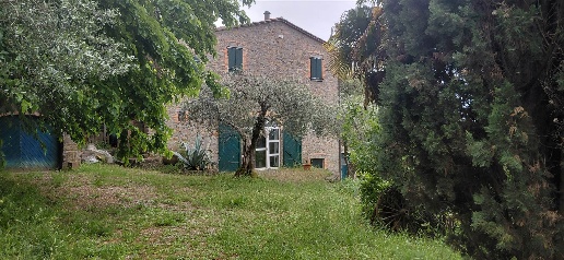 appartamento in vendita a Scansano