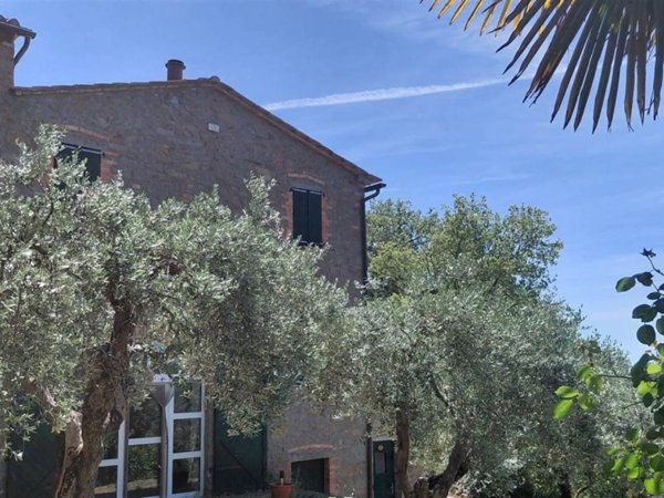 appartamento in vendita a Scansano