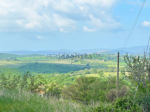 terreno agricolo in vendita a Scansano