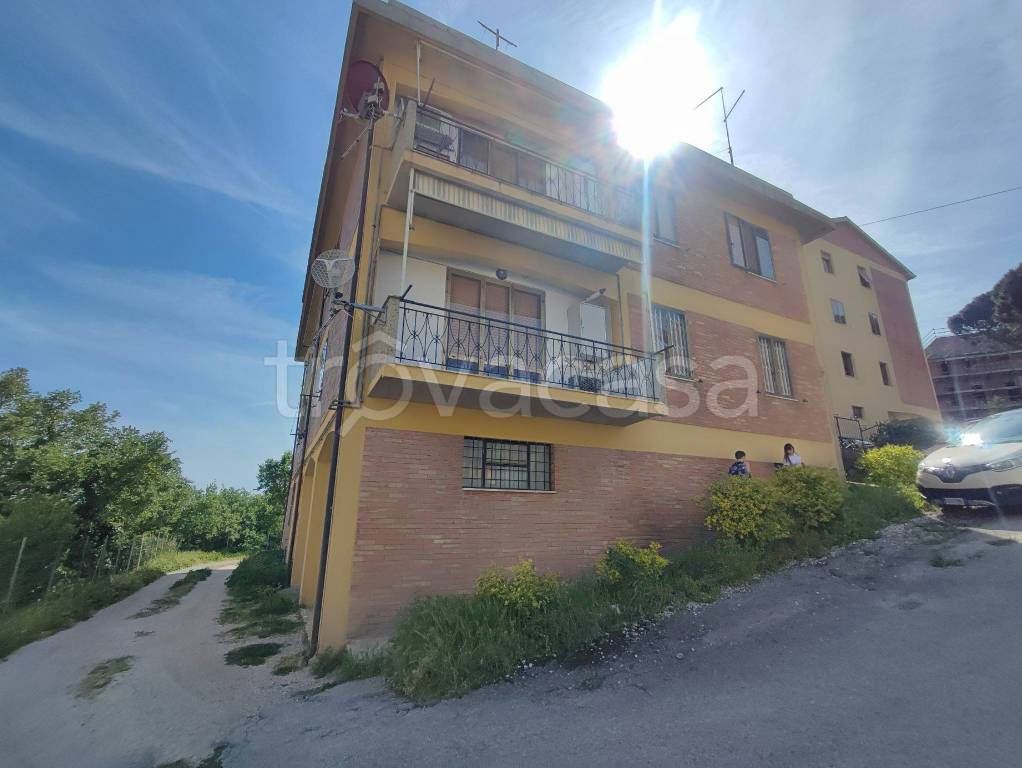 appartamento in vendita a Scansano