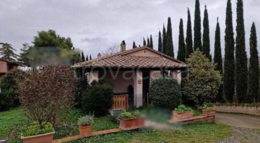 appartamento in vendita a Scansano