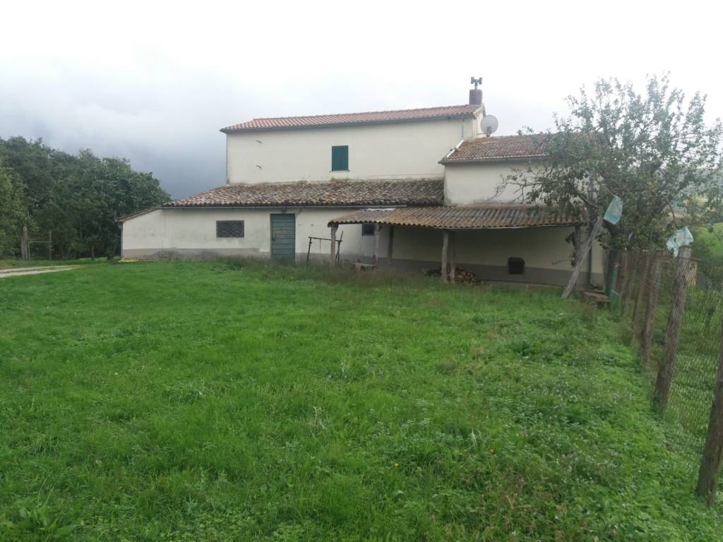 casa indipendente in vendita a Scansano
