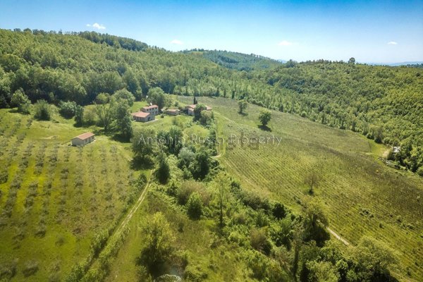 casa indipendente in vendita a Scansano
