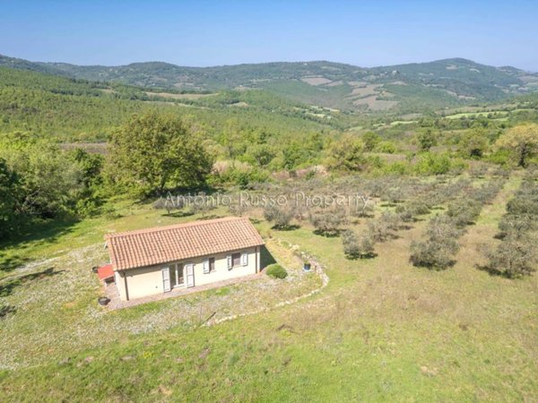 casa indipendente in vendita a Scansano