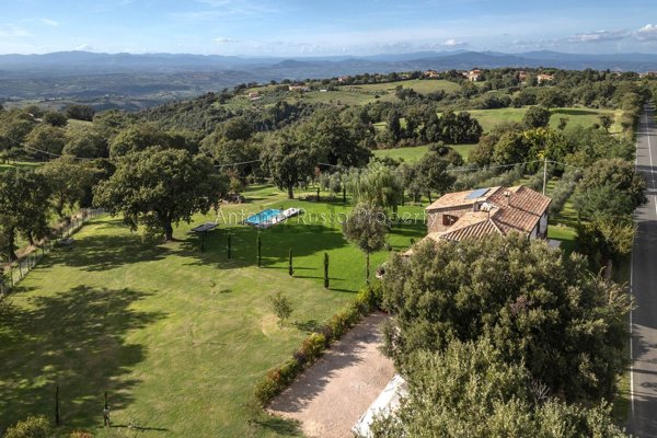 casa indipendente in vendita a Scansano in zona Pancole