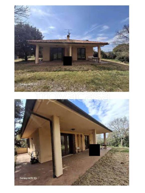 casa indipendente in vendita a Scansano in zona Preselle