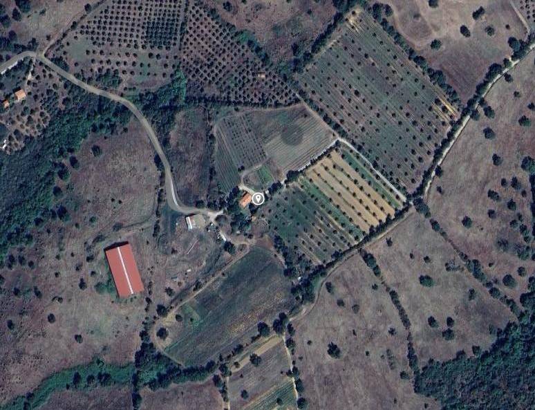 azienda agricola in vendita a Scansano in zona Poggioferro