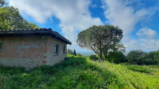 casa indipendente in vendita a Scansano