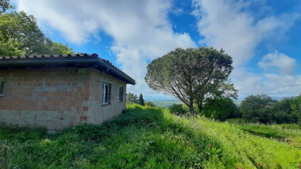 casa indipendente in vendita a Scansano