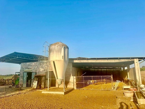 terreno agricolo in vendita a Scansano