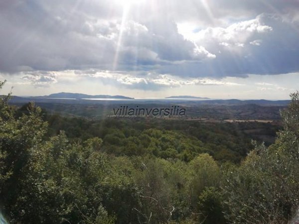 casa indipendente in vendita a Scansano in zona Poggioferro