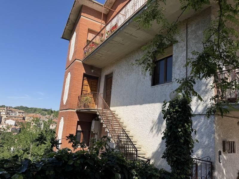 appartamento in vendita a Scansano