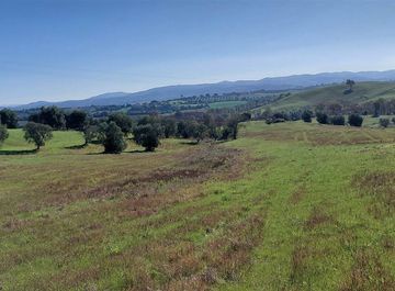 terreno agricolo in vendita a Scansano