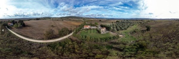 quadrivano in vendita a Scansano