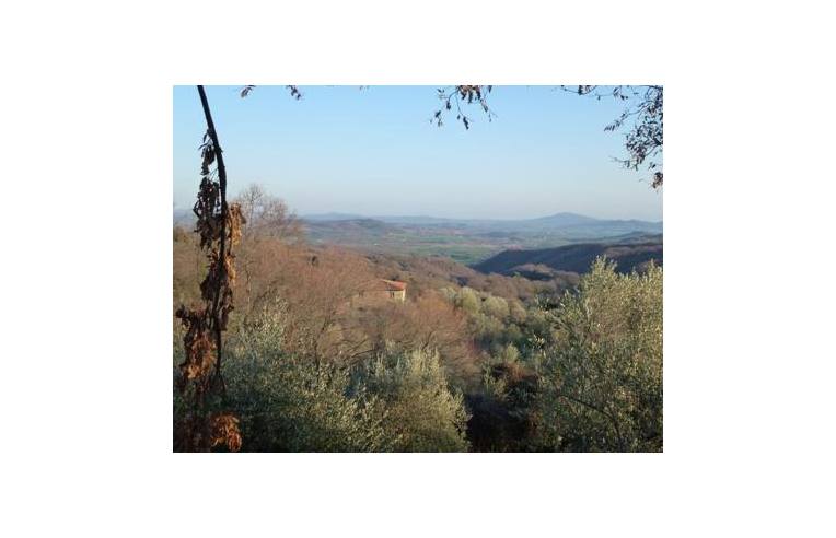 casa indipendente in vendita a Scansano