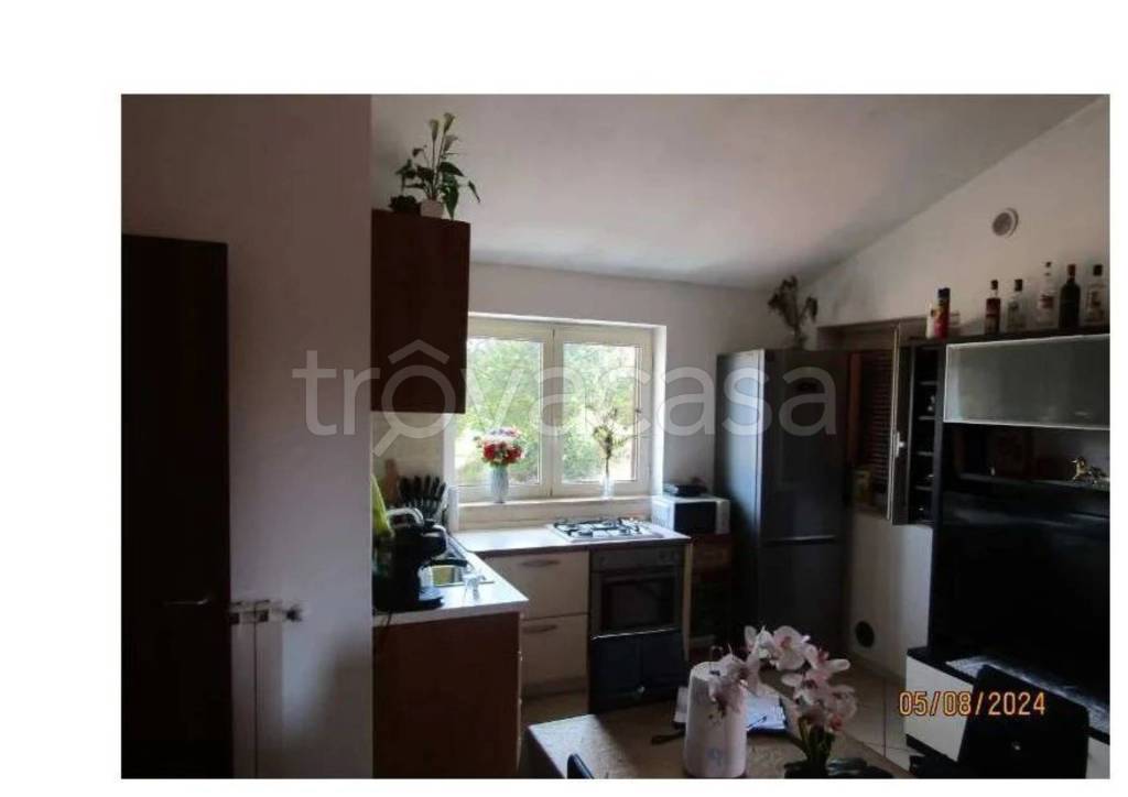 appartamento in vendita a Scansano in zona Pancole