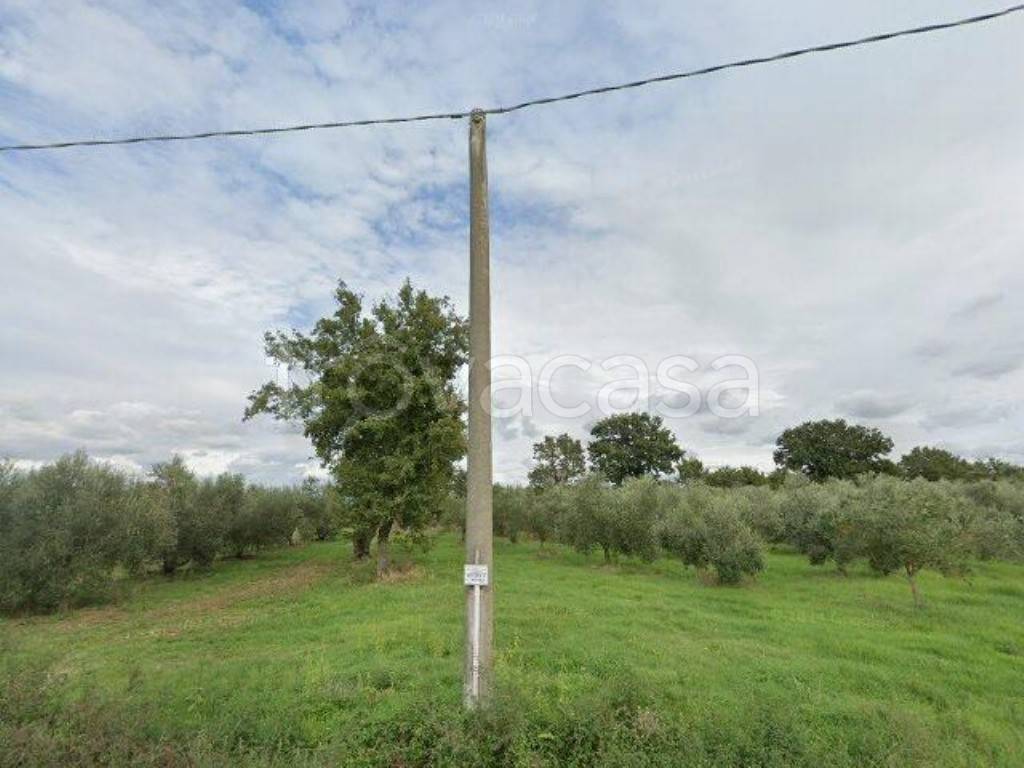 appartamento in vendita a Scansano