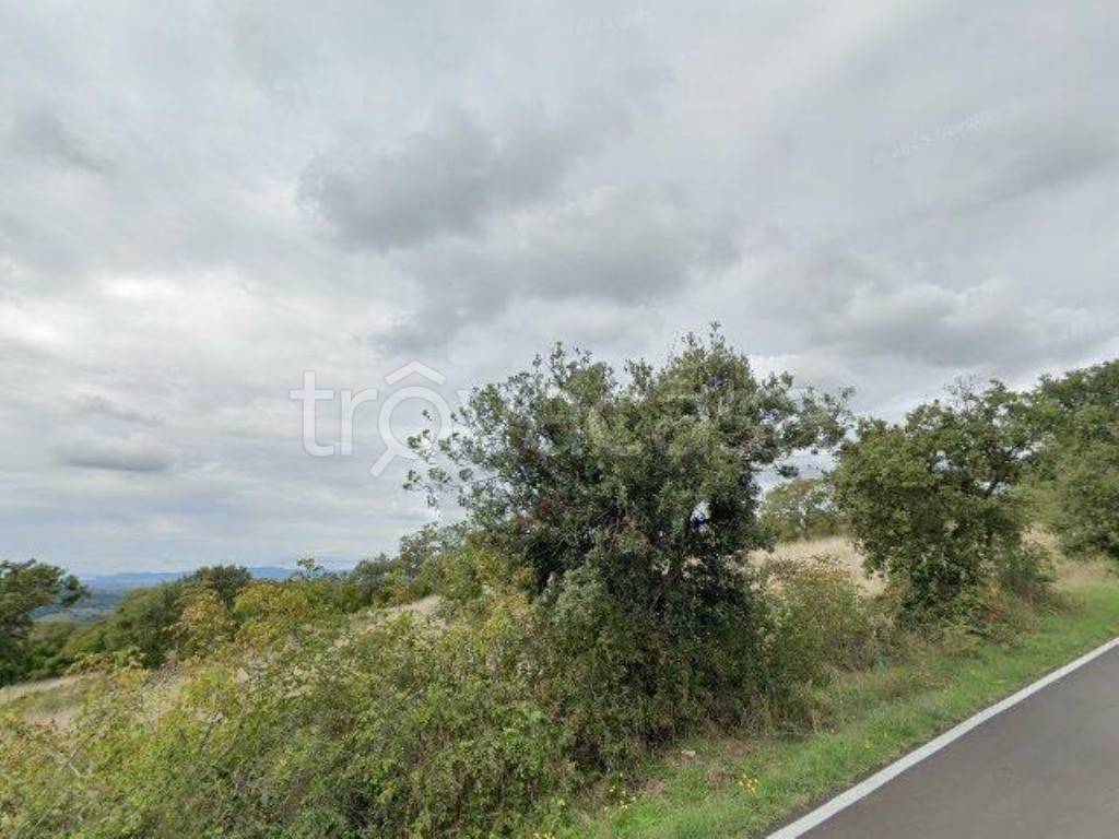 appartamento in vendita a Scansano
