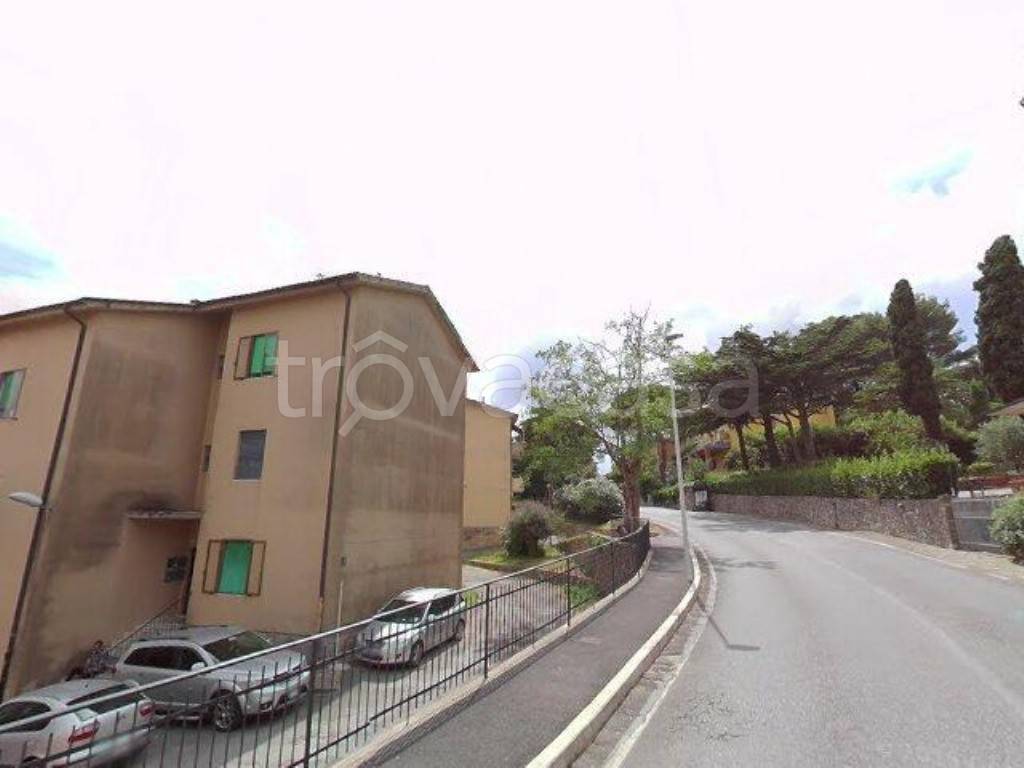 appartamento in vendita a Scansano
