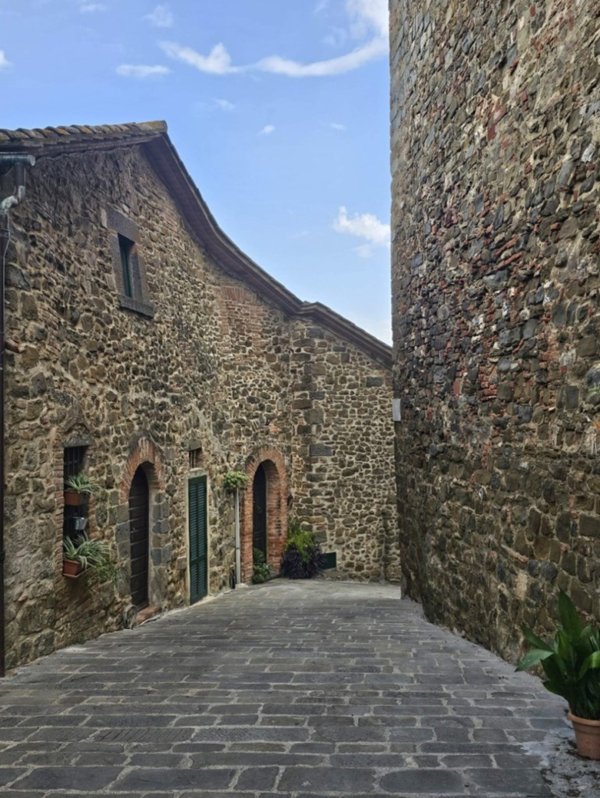 casa indipendente in vendita a Scansano in zona Montorgiali
