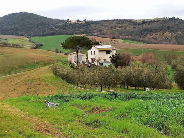 casale in vendita a Scansano