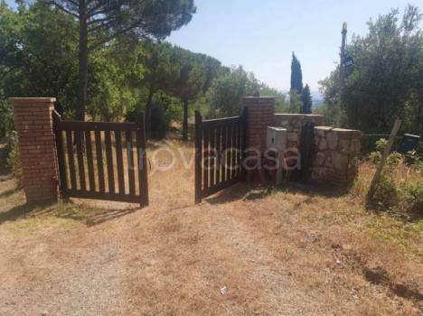 casa indipendente in vendita a Scansano