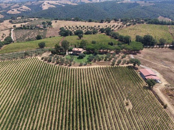 casa indipendente in vendita a Scansano