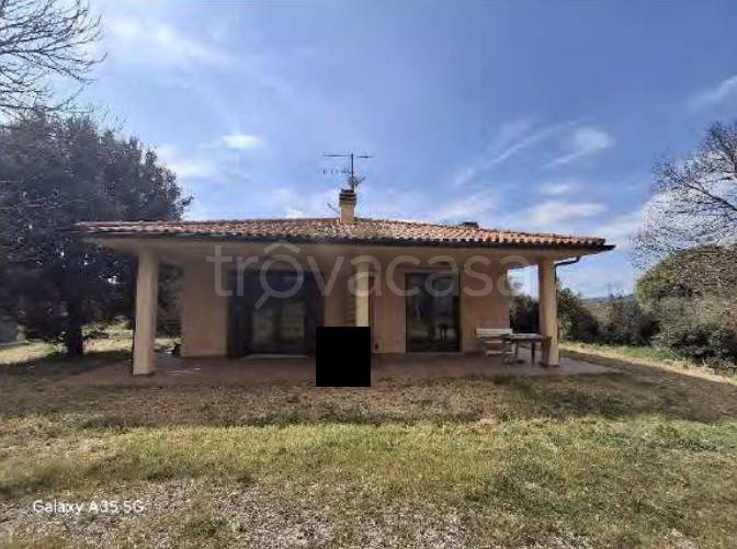 appartamento in vendita a Scansano