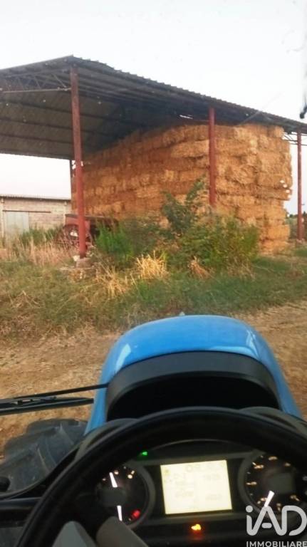 terreno agricolo in vendita a Scansano