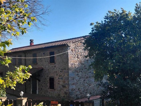 casa indipendente in vendita a Scansano in zona Poggioferro