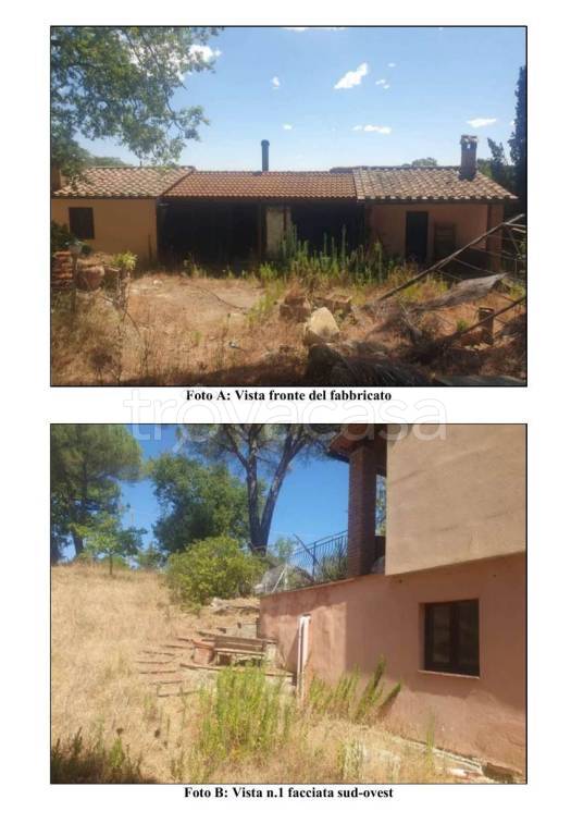 casa indipendente in vendita a Scansano