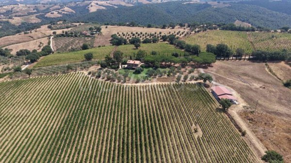 casa indipendente in vendita a Scansano