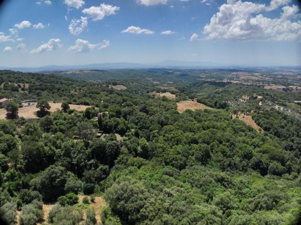 casa indipendente in vendita a Scansano