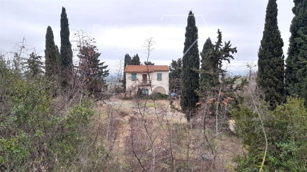 azienda agricola in vendita a Scansano in zona Pomonte